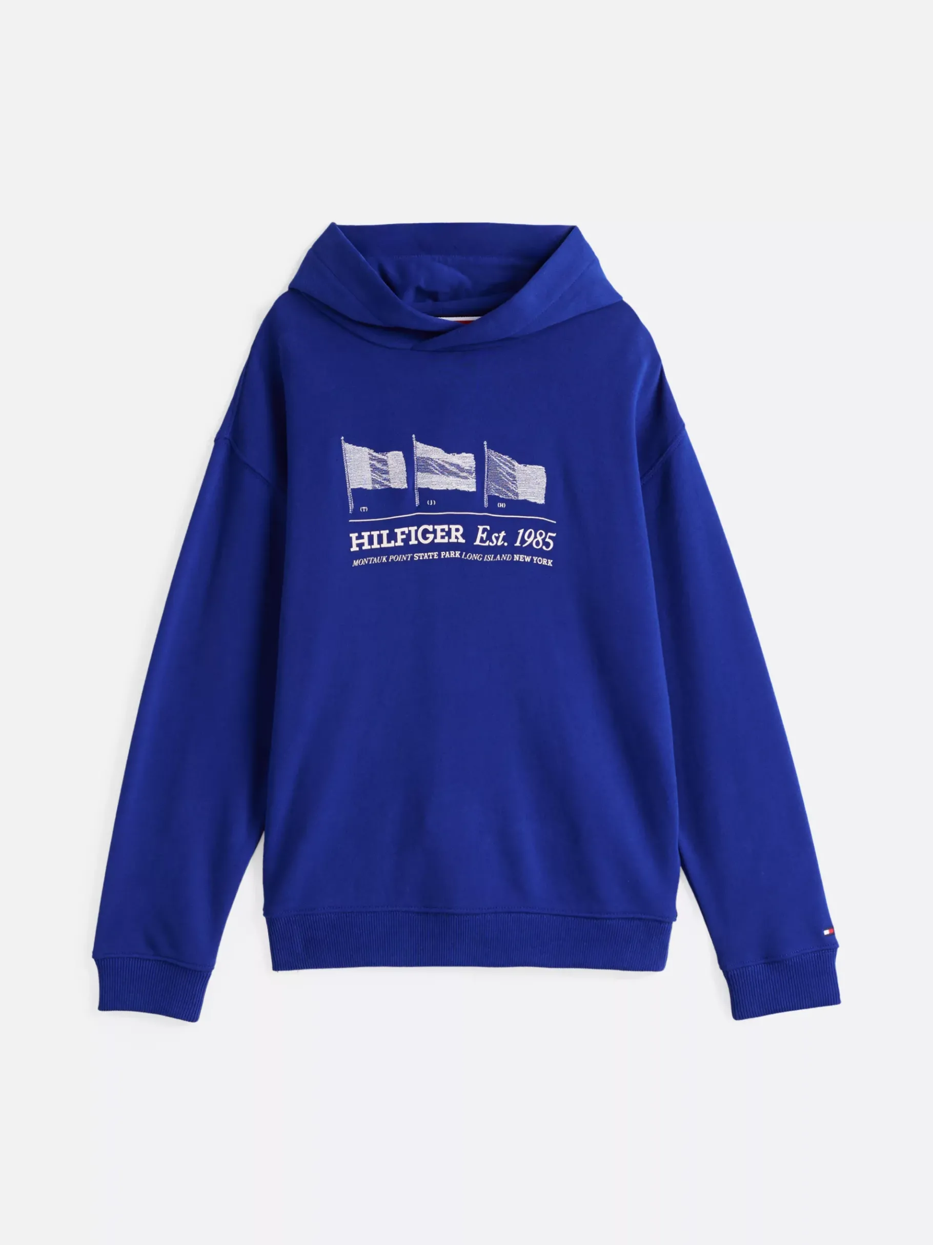 Tommy Hilfiger Hoodie mit Flaggen-Grafik WEDGE BLUE Best Sale